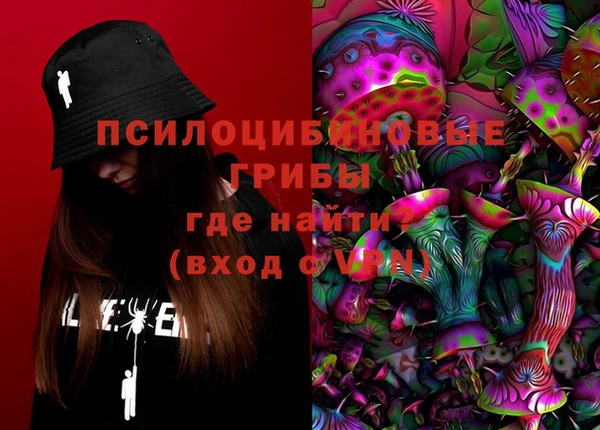 МДПВ Алзамай