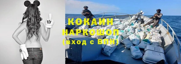МДПВ Алзамай