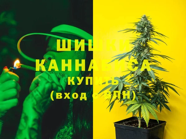 МДПВ Алзамай