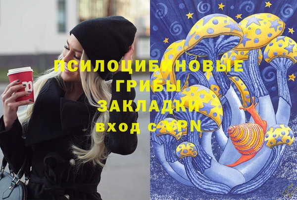прущая мука Алексеевка